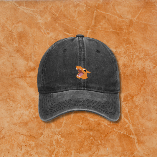 Charizard Cap